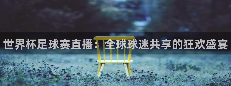 世界杯足球赛直播：全球球迷共享的狂欢盛宴