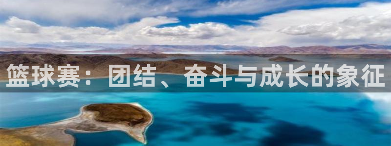 篮球赛：团结、奋斗与成长的象征