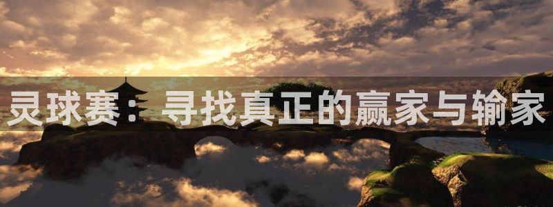 b体育红标下载：灵球赛：寻找真正的赢家与输家