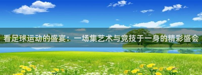 b体育是正规的吗：看足球运动的盛宴：一场集艺术与竞技于一身的