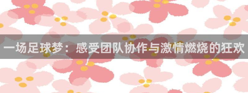  b体育官网最新下载：一场足球梦：感受团队协作与激情燃烧的狂欢
