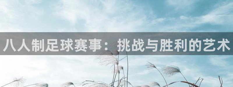  b体育bsport：八人制足球赛事：挑战与胜利的艺术