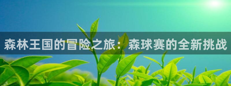  b体育网页登录版：森林王国的冒险之旅：森球赛的全新挑战