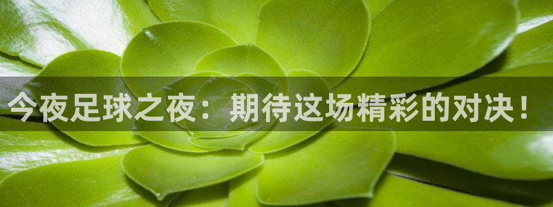  b体育官网首页：今夜足球之夜：期待这场精彩的对决！